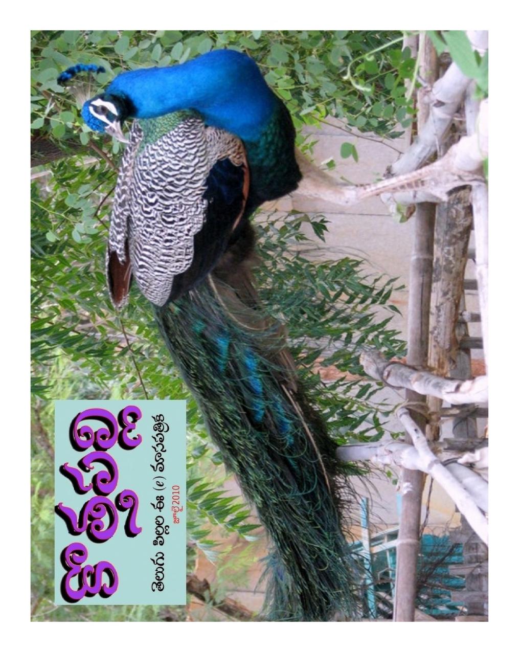 జులై 2010 సంచిక